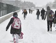 Yurtta kar yağışı etkili: İşte okulların tatil olduğu iller
