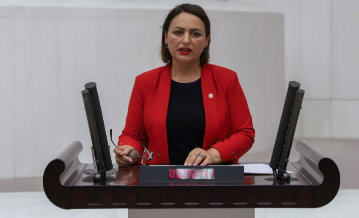 Şevkin, mecliste kamyoncuların sesi oldu