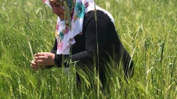 SAMİ ÖZKUL’UN EVLAT ACISI