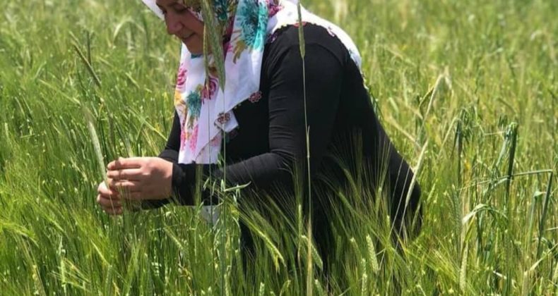 SAMİ ÖZKUL’UN EVLAT ACISI