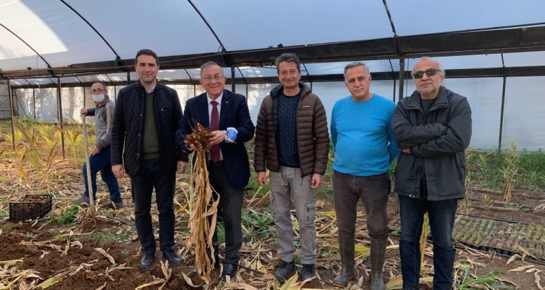 SEYHAN’DAN ADANALI ÇİFTÇİLER İÇİN AR-GE ÇALIŞMASI