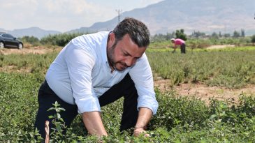 YÜREĞİRLİ ÇİFTÇİ VE ÜRETİCİYE EĞİTİM DESTEĞİ