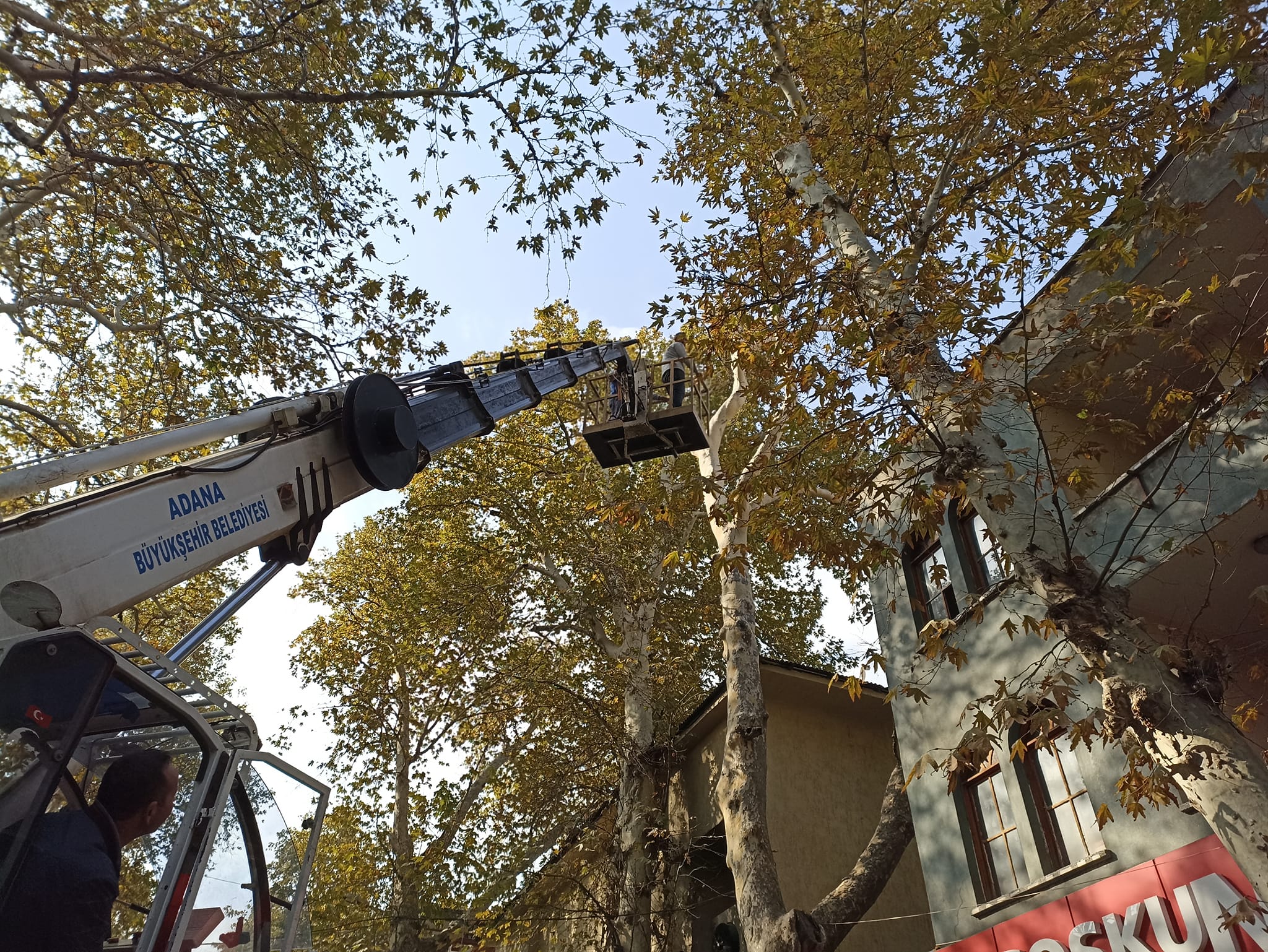 POZANTI’NIN DOĞAL GÜZELLİĞİ KAYBOLUYOR