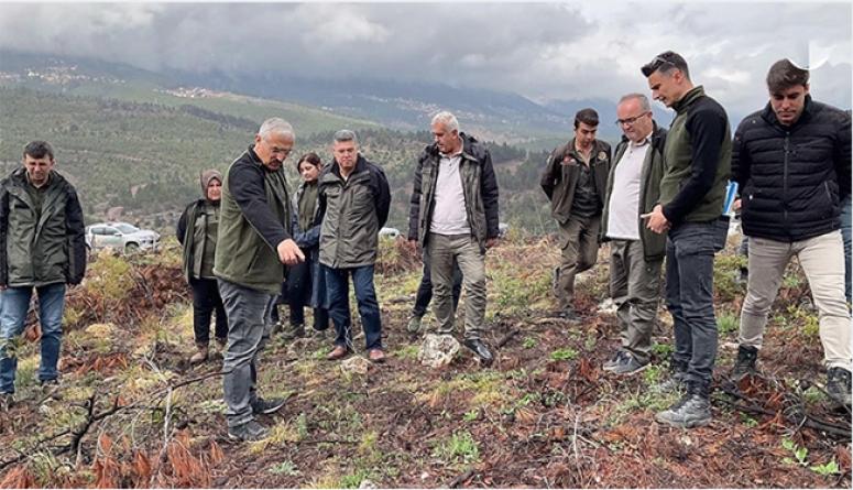 Orman Bölge Müdürü  Yılmaz İncelemelerde  Bulundu.