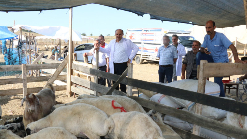 ADANA’YA 30 BİN HAYVAN GETİRİLDİ.