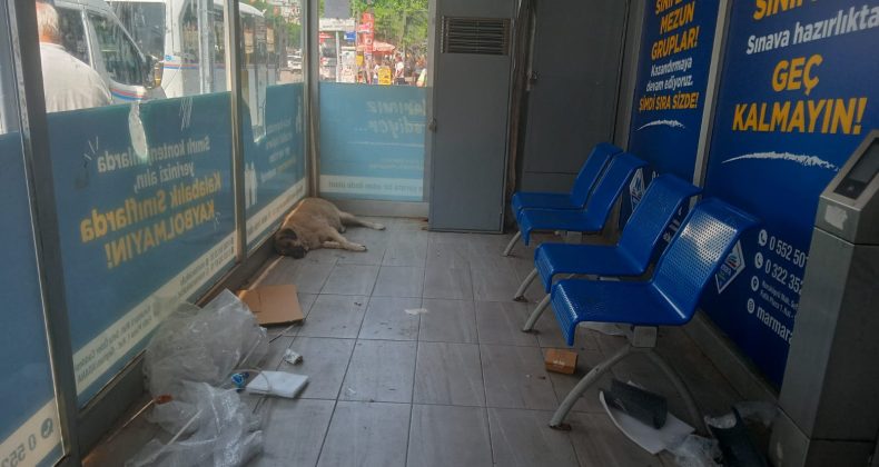 DÖRTYOL AĞZI OTOBÜS DURAĞI MEZBELELİK BİR HALDE.