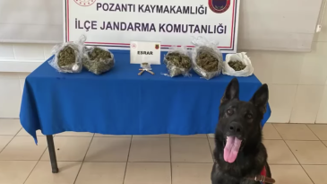 POZANTI POLİSİ VE JANDARMASI UYUŞTURUCUYA GEÇİT VERMİYOR