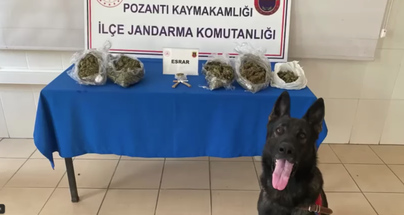 POZANTI POLİSİ VE JANDARMASI UYUŞTURUCUYA GEÇİT VERMİYOR