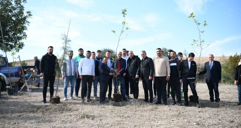 MHP GENEL BAŞKANI BAHÇELİ TALİMAT VERDİ. YÜZLERCE ÇINAR DİKİLDİ.