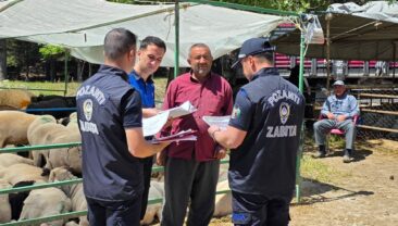 Pozantı Zabıtasından Geniş Çaplı Denetim Gerçekleştirildi