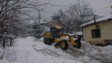 BEYAZ TEHLİKE