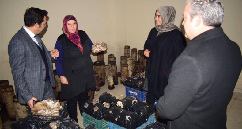 HOBİ OLARAK BAŞLADI, EKONOMİK KALKINMAYI YAKALADI.