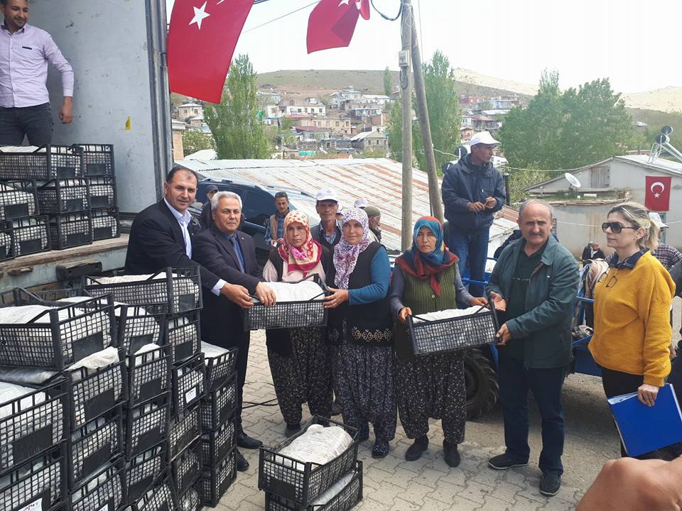 57 BİN ÇİFTÇİYE 500 BİN ÇİLEK FİDESİ