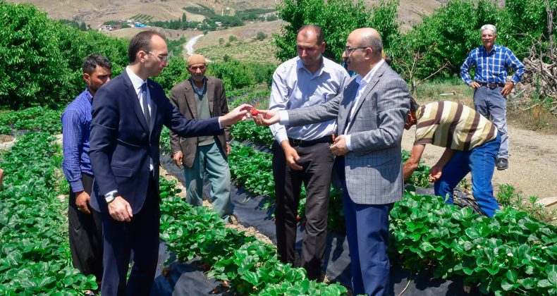 VALİ DEMİRTAŞ’TAN POZANTI’DA, ÇİLEK VE KİRAZ ÜRETİCİLERİNE ZİYARET