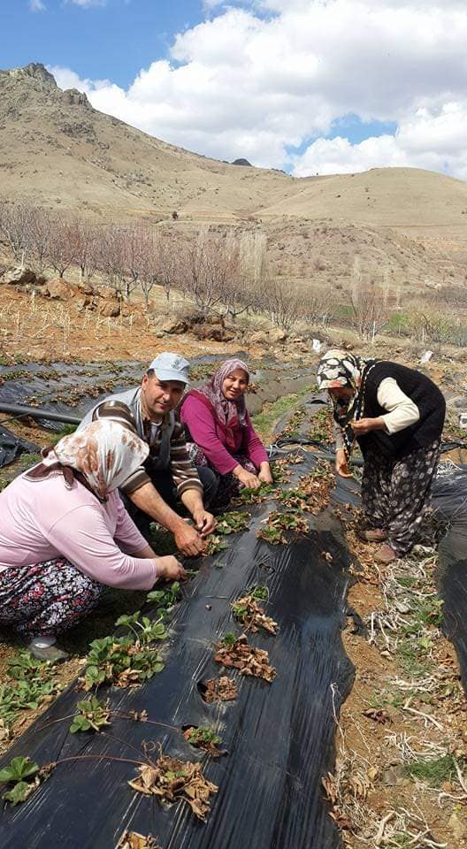 TARLADA ÇALIŞMAYA “İZİN”