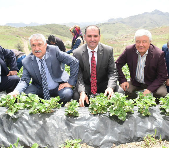 VİRÜS TOPLANTISINDAN  “ÇİLEK MÜJDESİ” ÇIKTI