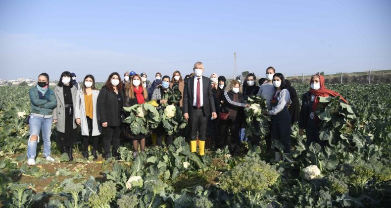 Büyükşehir’den 2 yılda tarımsal kalkınmaya dev destek