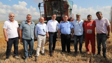 İBB’DEN BUĞDAY HASADI