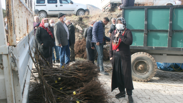 POZANTI’NIN FİDANCI ABLASI: “HAVVA KAPUZ”