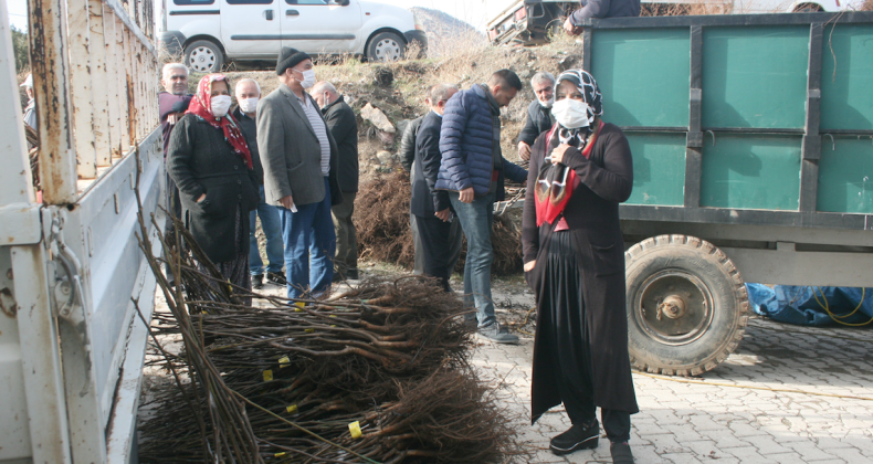 POZANTI’NIN FİDANCI ABLASI: “HAVVA KAPUZ”