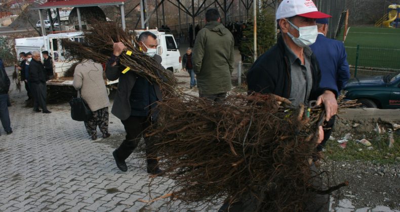 BÜYÜKŞEHİR’DEN KIRSALA ZİRAİ DESTEK