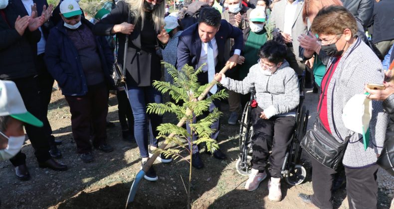Fidanlar toprakla buluştu