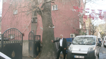 “ÖNCE BENİ SONRA BU ÇINARI KESERSİNİZ”
