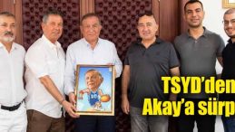 TSYD’den Akay’a sürpriz