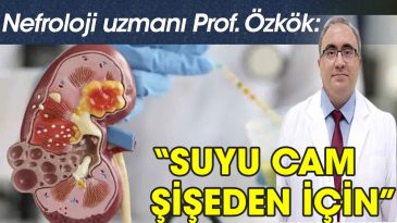 BÖBREKLERİNİZ NE KADAR SAĞLIKLI ?