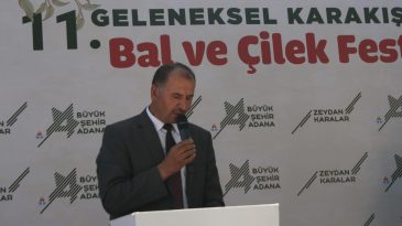 ÇİLEK FESTİVALİ KUTLANIYOR