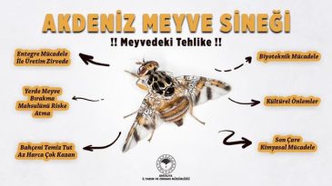 “HAŞERE MÜCADELESİNİ ERKEN BAŞLATIN”