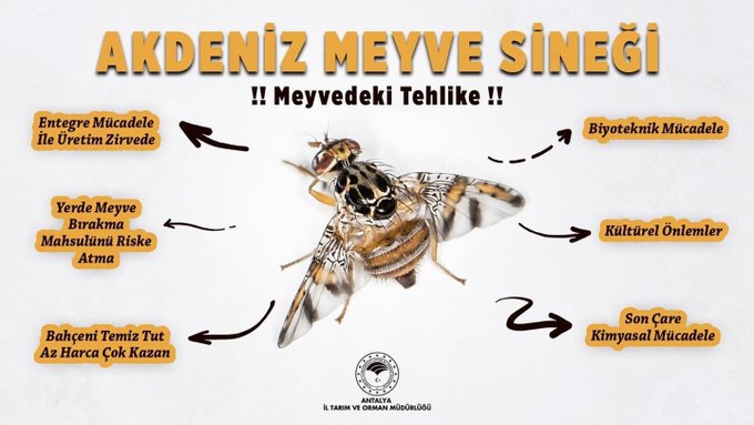 “HAŞERE MÜCADELESİNİ ERKEN BAŞLATIN”