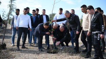 BAHÇELİ TALİMAT VERDİ YÜZLERCE ÇINAR DİKİLDİ