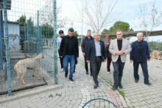 5c73c078-badb-4b86-b3b3-f253e5fb271e